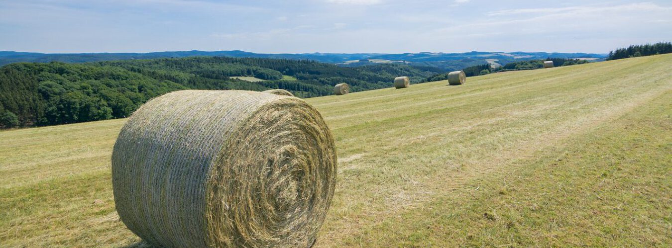 Heuballen aus dem Westerwald